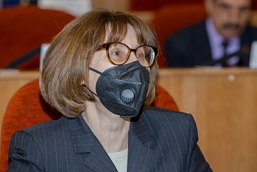 Депутаты приняли отчет полиции 